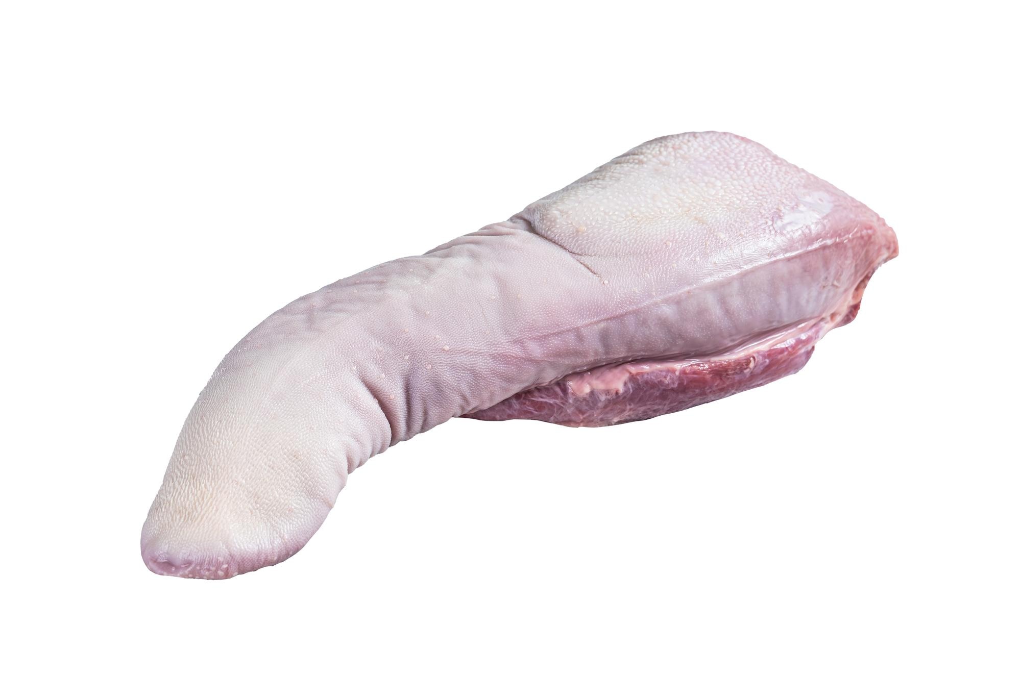 Tongue
